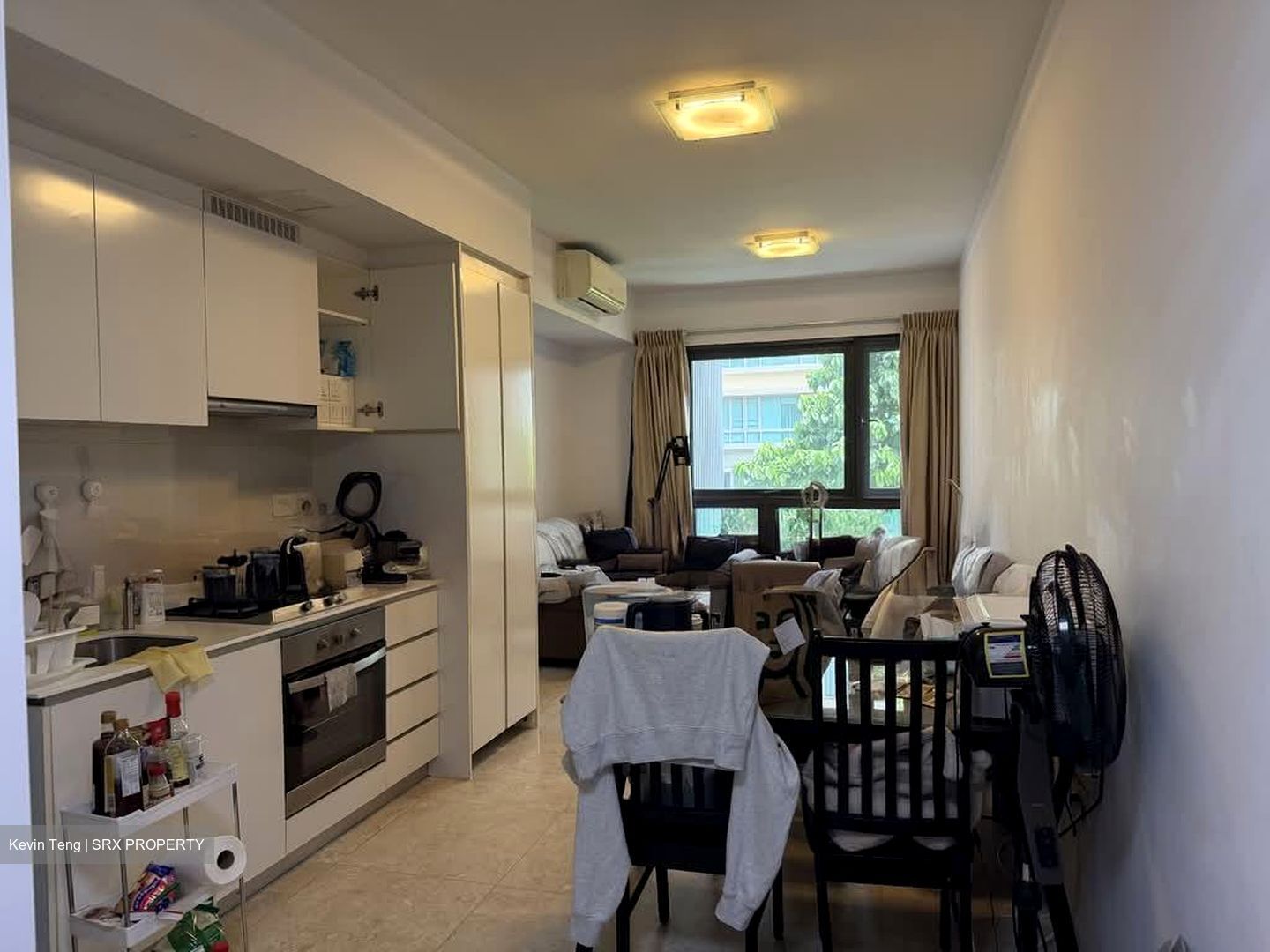 The Lakefront Residences (D22), Condominium #556216511
